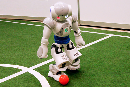 Fußballroboter Ein Roboter steht mit einem roten Ball auf einem grünen Fußballfeld.